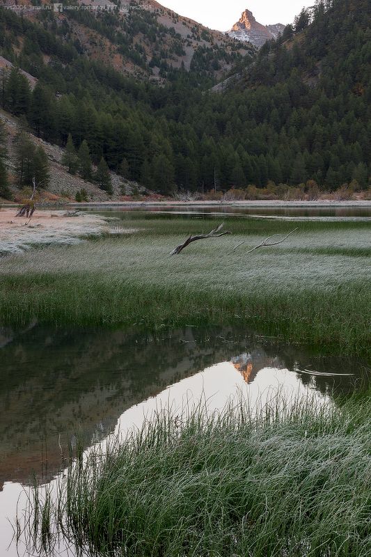 озеро, деревня, пруд, пышный, листва, идиллия, лес, трава, луг, дерево, пейзаж, небо, вода, зеленый, синий, облака, Франция, Жозье, Сань, отражение, горы, утро, закат, Восход Morning at Lac des Sagnes  - Утро на озере Саньphoto preview