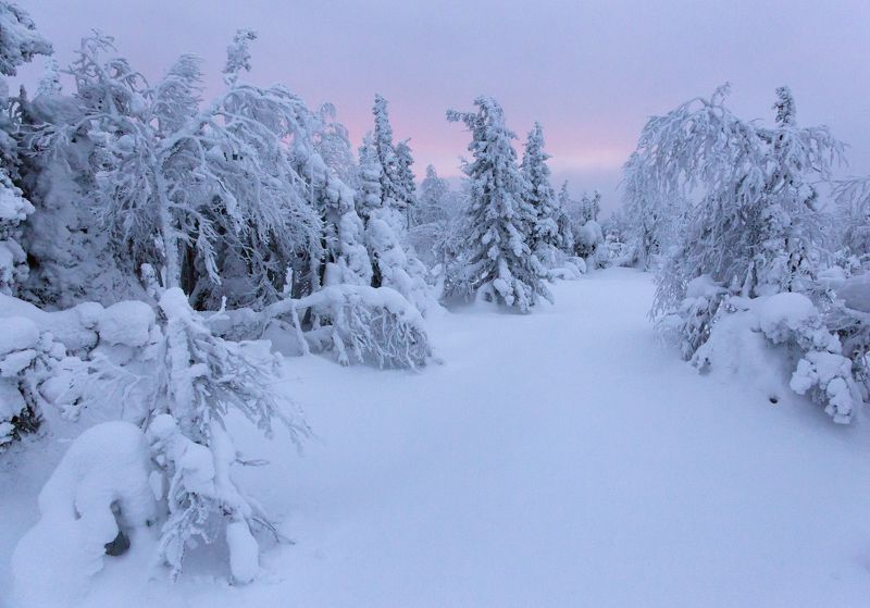 зима, горы, урал, деревья, снег, рассвет, тишина, путешествия, лес, антон селезнев Северный рассветphoto preview