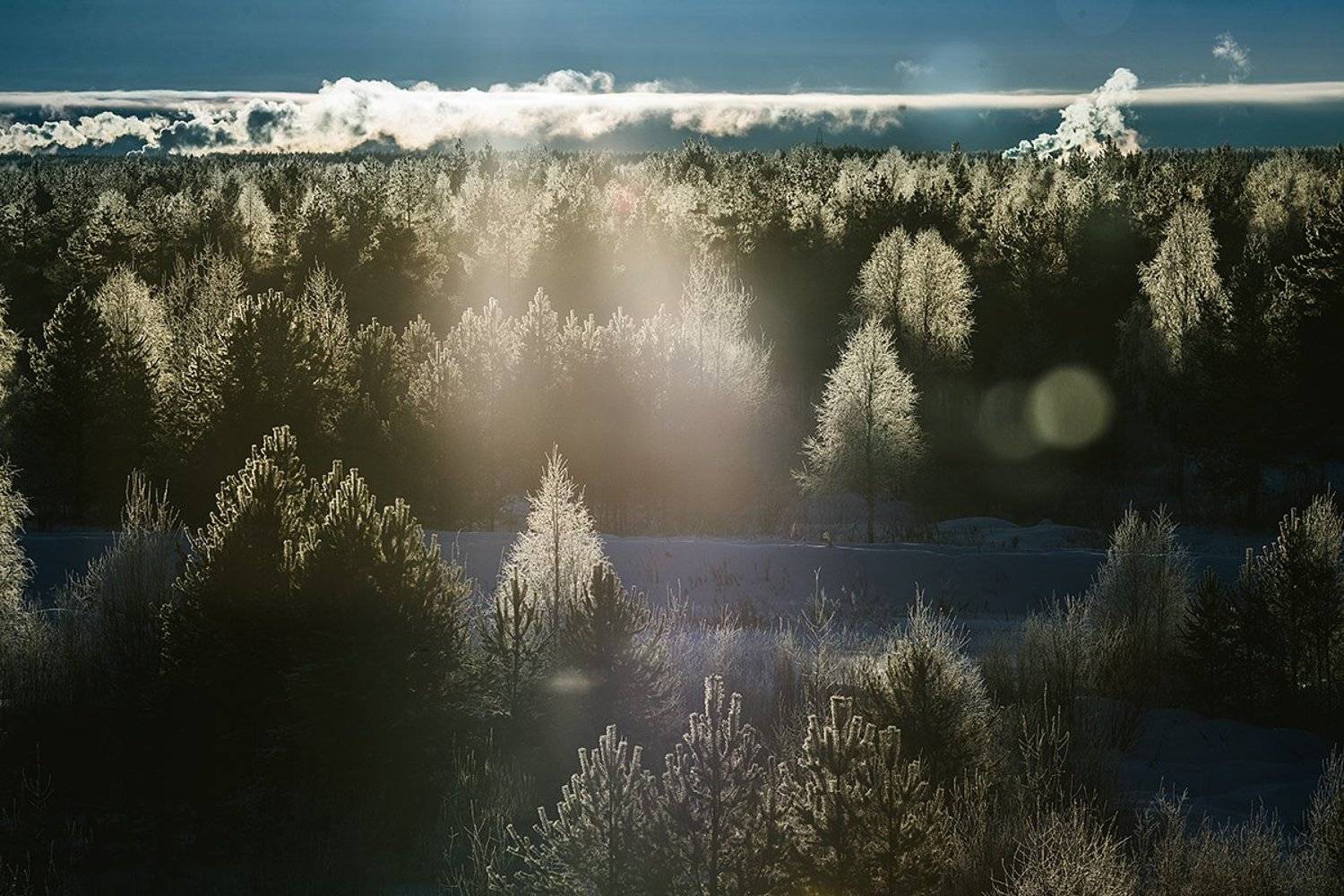 , Марина Сивакова