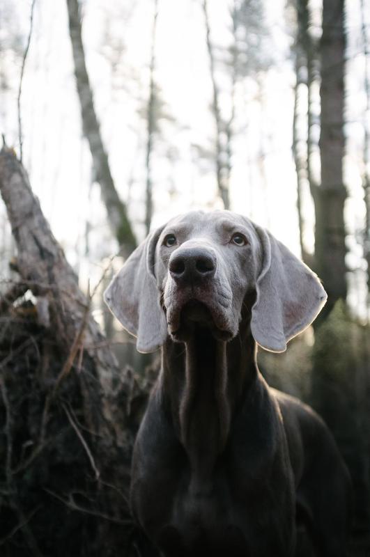 Джимphoto preview