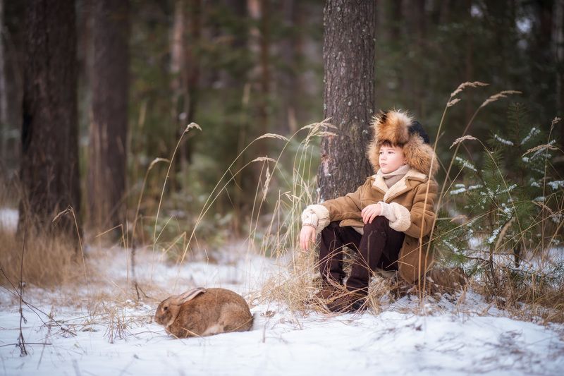 В лесуphoto preview