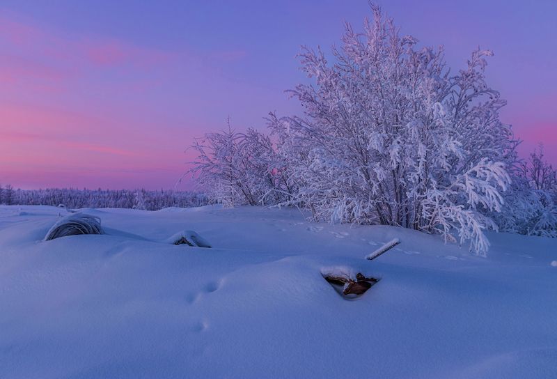 ямал , зима , природа, салехард , январь,  ямал ,север \