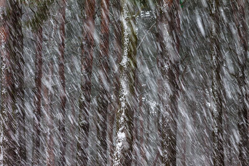 А СНЕГ ИДЁТphoto preview