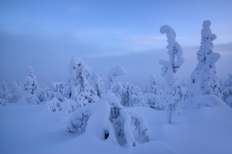 Лапландияphoto preview