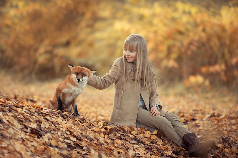 девочка с лисичкой Подружились!photo preview