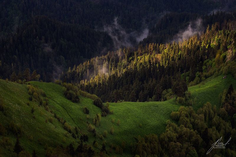 Утро в лесах Большого Тхачаphoto preview