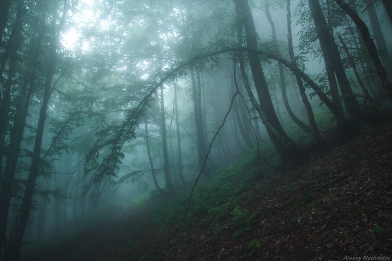 гори,  Карпати, полонина, дождь, сонце,  Карпаты, лес, Боржава, туман Арочкиphoto preview