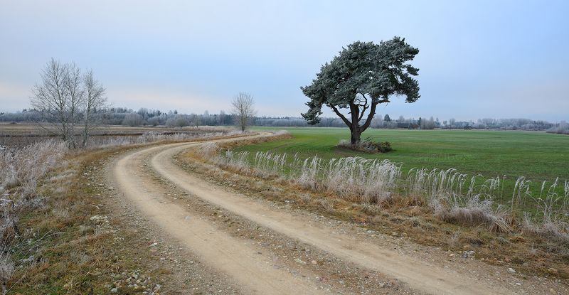 пейзаж море мороз рассвет ***photo preview