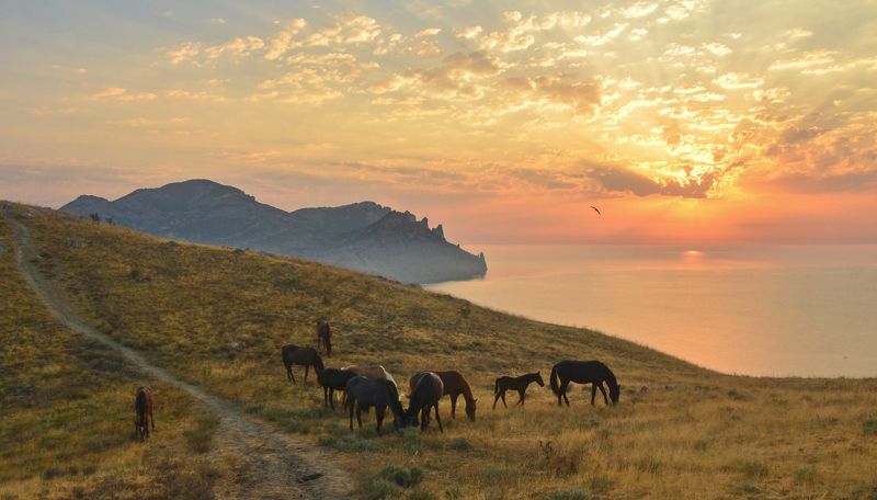 крым, кара-даг, сентябрь, рассвет Рассвет над Кара-Дагомphoto preview