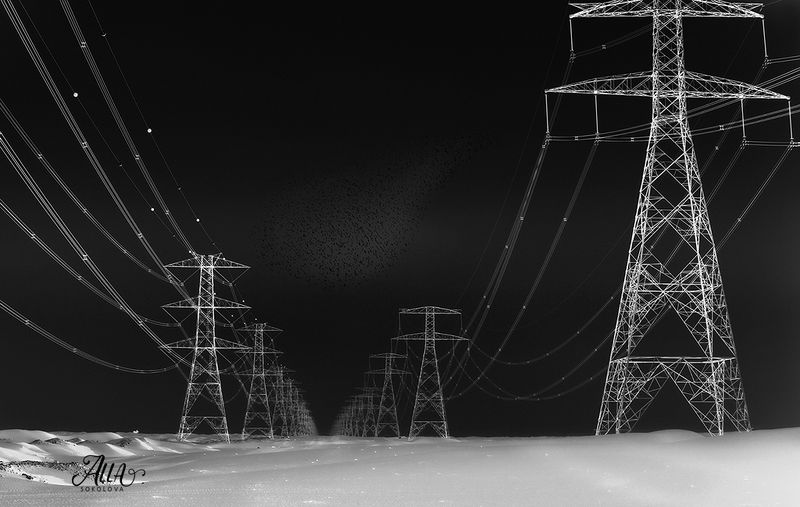 электрические провода, вышки, провода, электричество, инверсия, перспектива Ночной дозорphoto preview