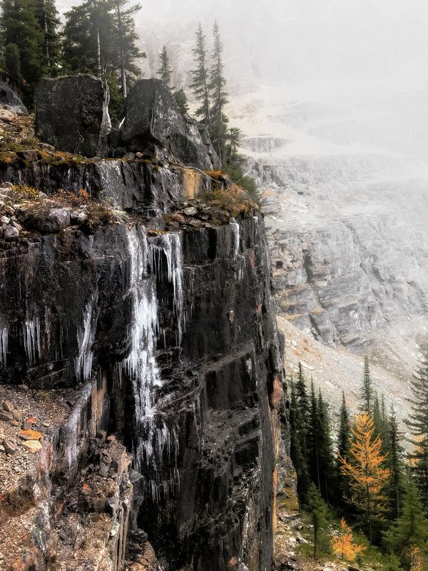 yoho, ohara ПРЕДВЕСТНИКИ ЗИМЫphoto preview