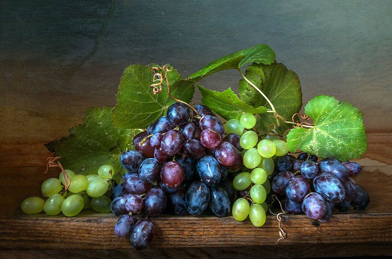 красивый натюрморт с виноградом,фрукты,ягоды,художественное фото,искусство,творчество,людмила костюченко. Виноградphoto preview