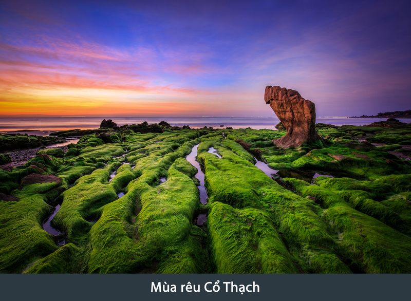 vietnam, moss, sunrise, dawn, seascape Moss at dawnphoto preview