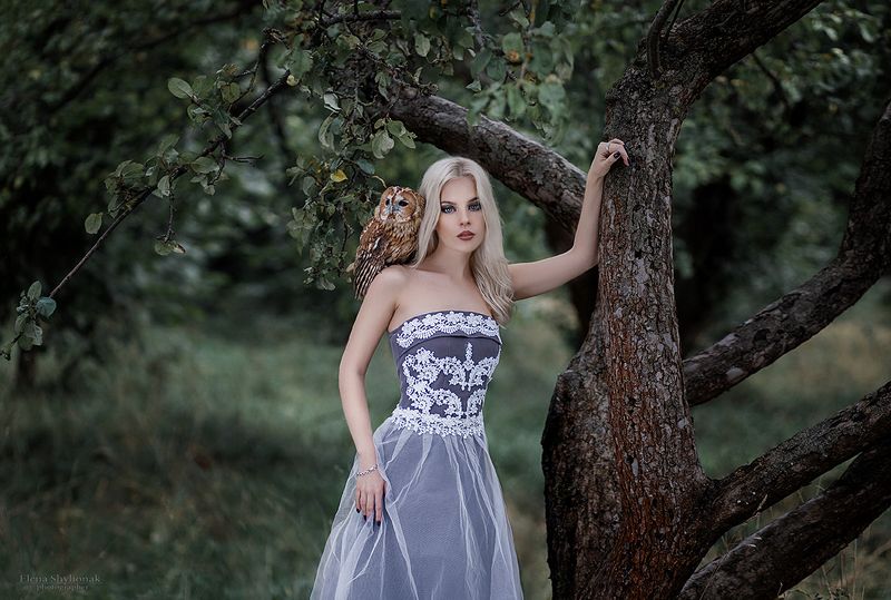 сова, модель, лес, осень, королева, осенняя, девушка, фиолетовое платье, сосны, девушка с совой лесная нимфаphoto preview