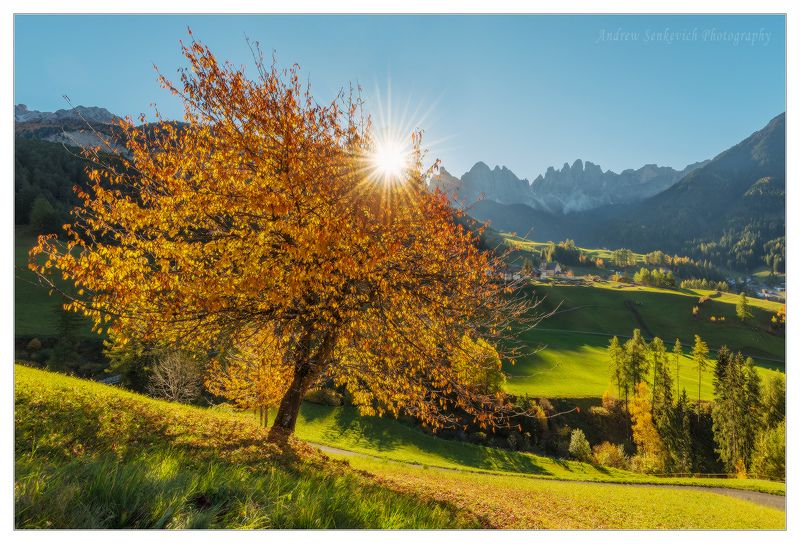 доломиты, италия, фототур, утро, осень, рассвет, санта маддалена, фунес Sunny morning in Santa Magdalenaphoto preview