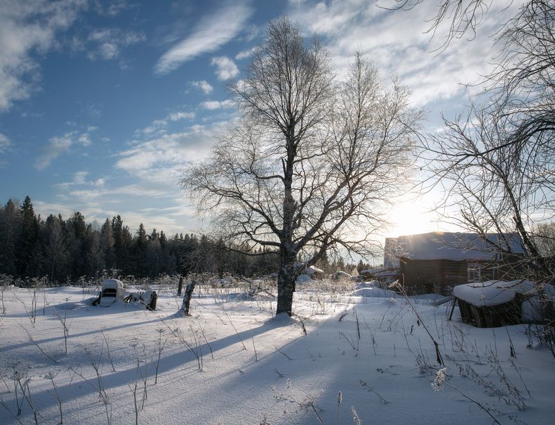 Настоящая зима.photo preview