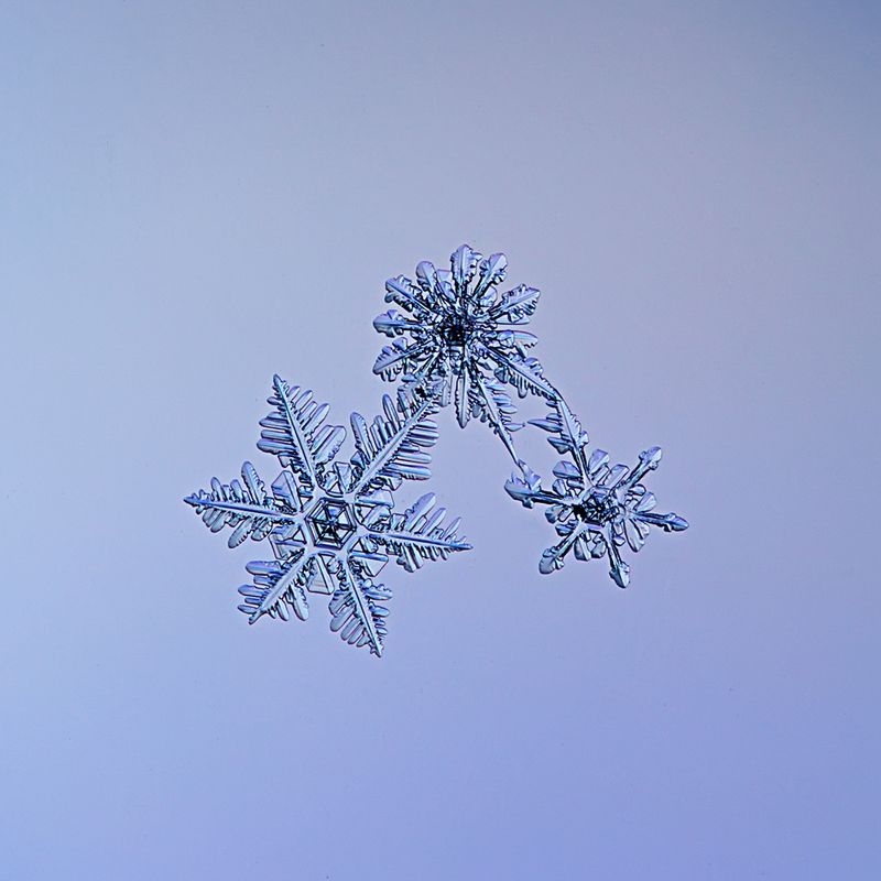 снежинка, снежинки, макро, зима, кристалл, природа Узоры зимыphoto preview