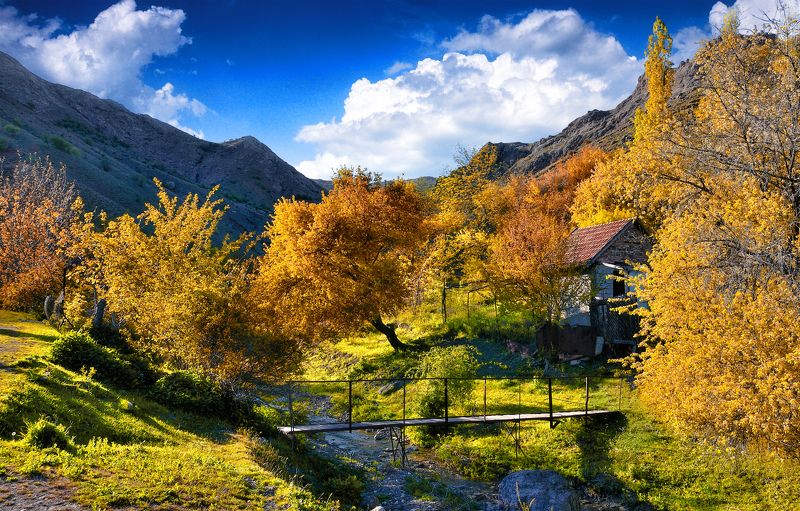 Зеленогорьеphoto preview