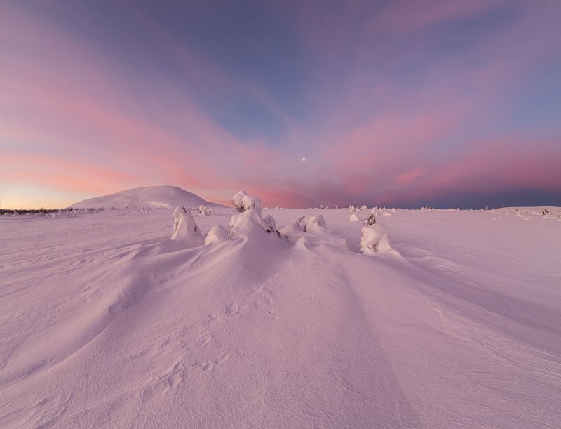 зима, горы, урал, деревья, снег, фактура, небо, облака, луна, рассвет, заря, антон селезнев Рассвет на Севереphoto preview