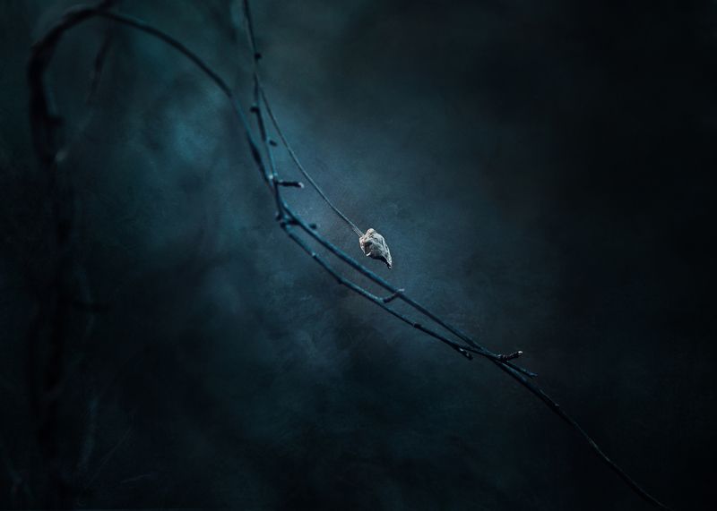 ...грустьphoto preview