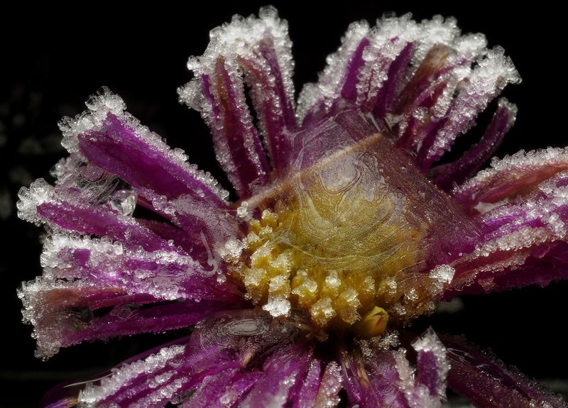 Противостояниеphoto preview