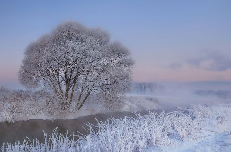 питер, пушкин, зима, пейзаж, царскоесело, царское, landscape, tsarskoyeselo Салют, зима!photo preview