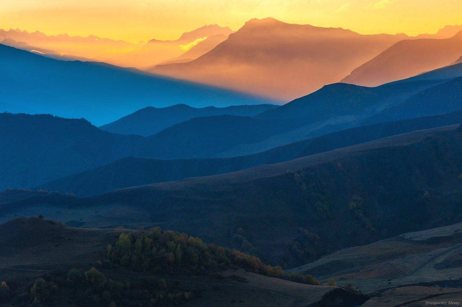 , Алексей Дранговский