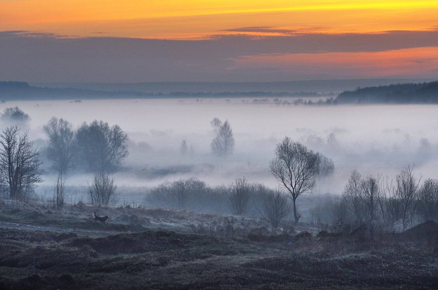 .... Автор: Макеев Алексей , Макеев Алексей