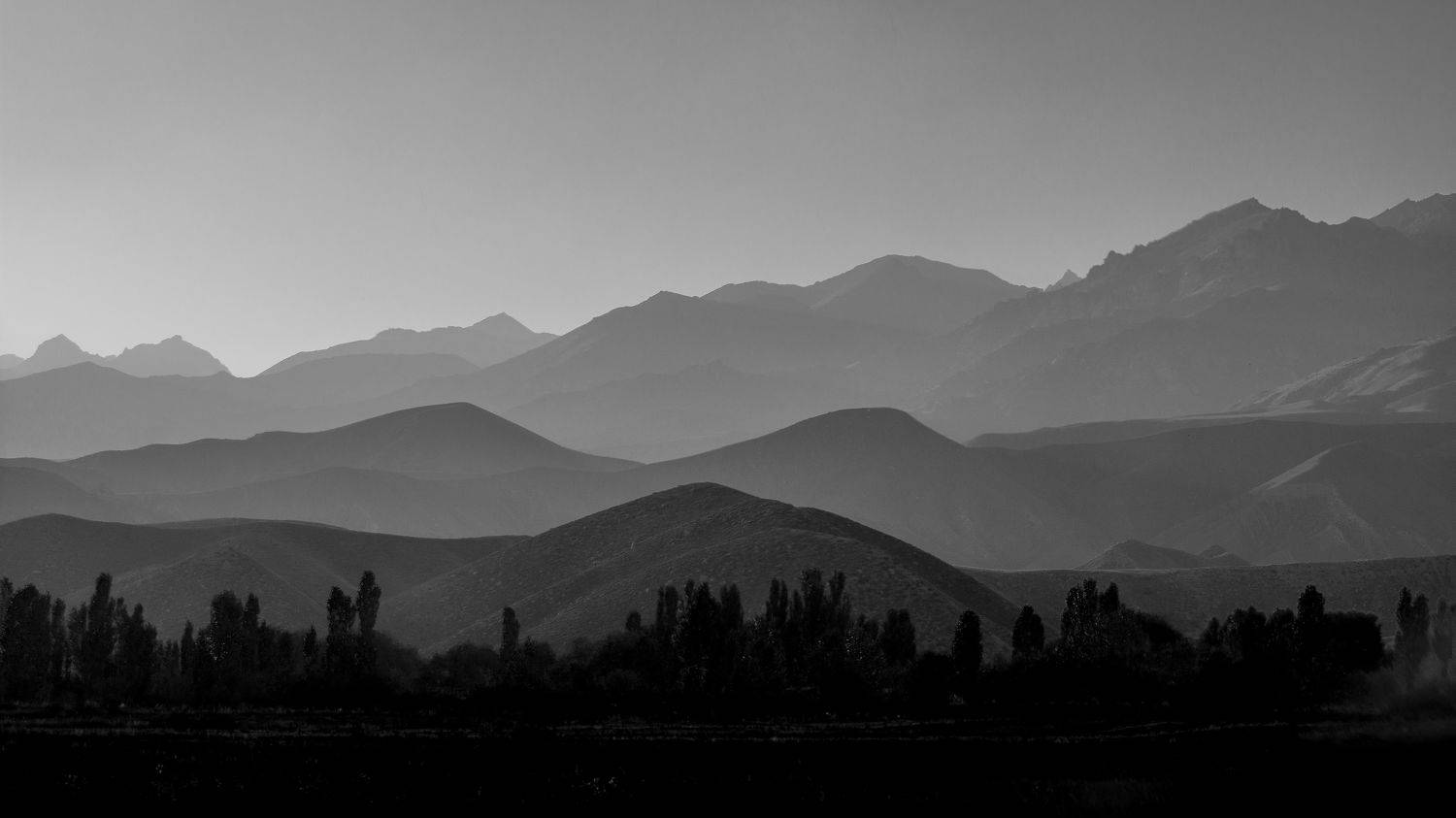 горы, природа, пейзаж, деревья, черно-белое, Василий Шумкин