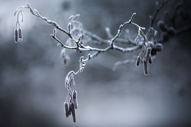 ...тишинаphoto preview