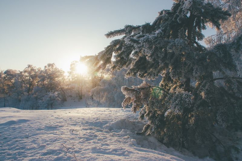 пейзаж, лес, зима, рассвет Утро в лесуphoto preview