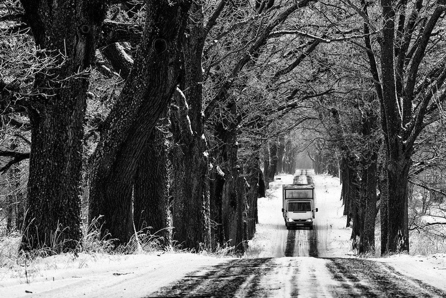 , Геннадий Новов