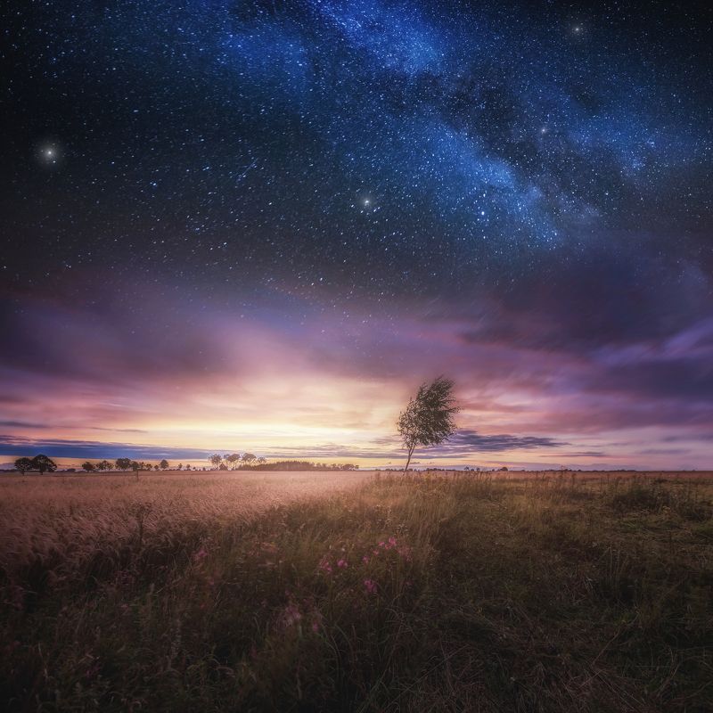 nature, landscape, night, day, field, meadow,  Distant meadows and fieldsphoto preview