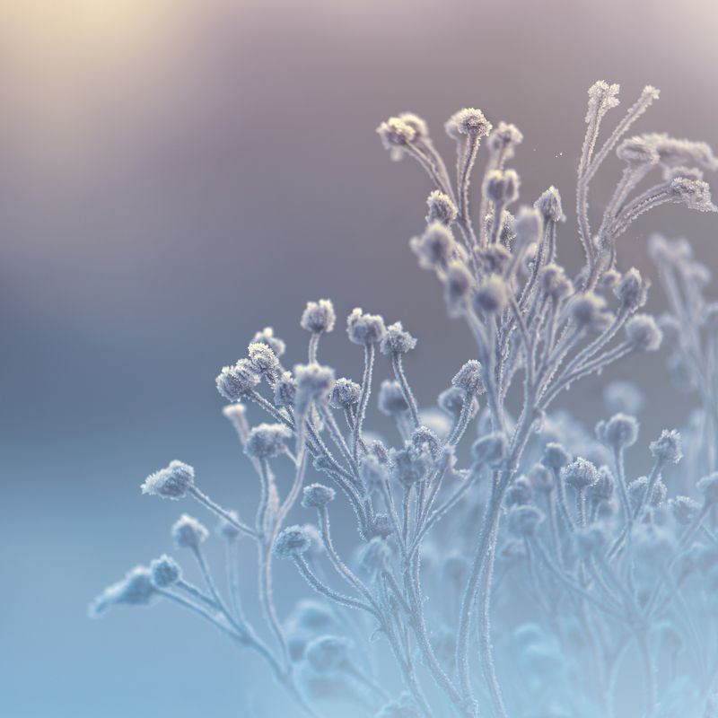 ...хрупкостьphoto preview