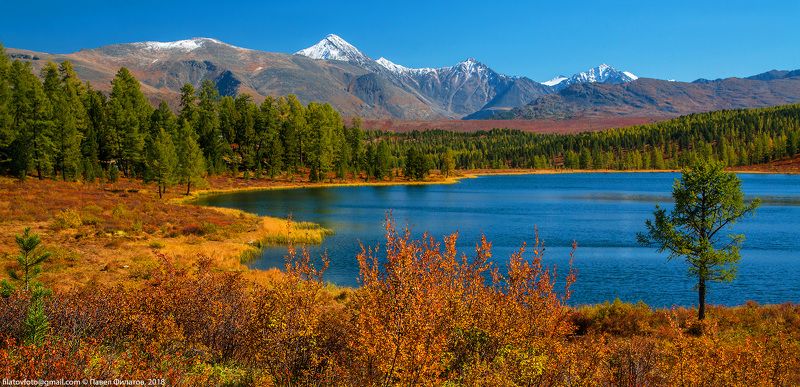 алтай, сибирь, кеделю, озеро Кеделюphoto preview