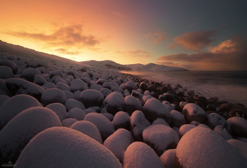 териберка Яйца драконаphoto preview