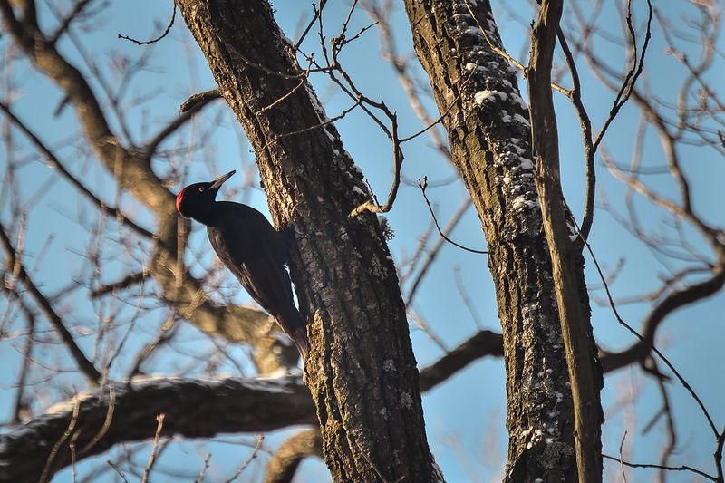 Winter 2018photo preview