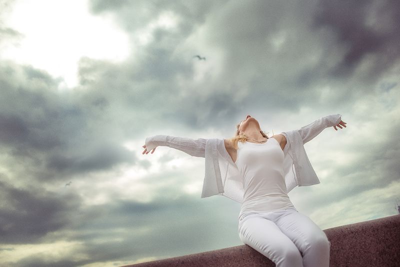 чайка,жанровый портрет чайкаphoto preview