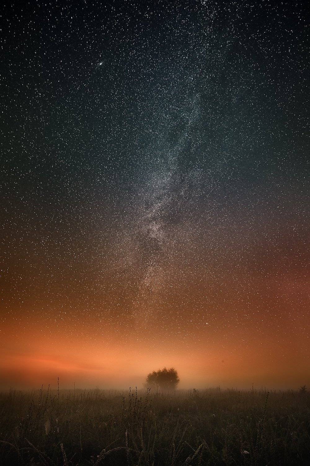 , Каревский Дмитрий