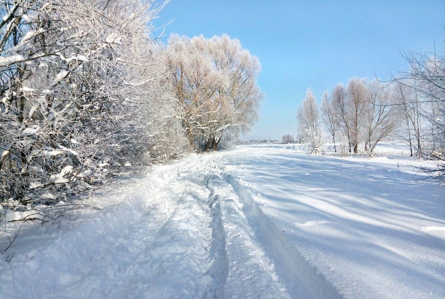 Дорога в зимнюю сказку.... Автор: Александр Индыло , Александр Индыло