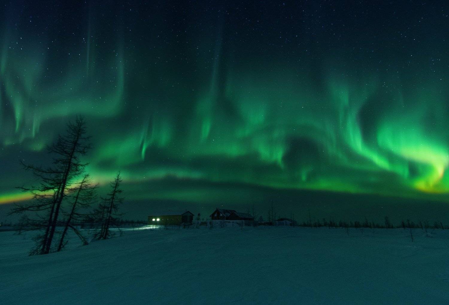 " В объятьях ночи ". Автор: Настя Братка ямал , зима , природа, салехард ,сибирь, ямал ,север, сияние, аврора,северное сияние, Настя Братка