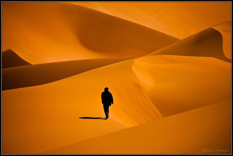 свету С КАМЕРОЙ  ПО  СВЕТУphoto preview