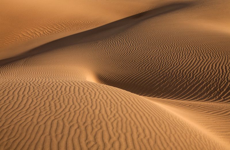 пустыня, песок, фактура, дюны, mesquite flat sand dunes, долина смерти, изгибы, формы, фантазия, антон селезнев Нежные изгибыphoto preview