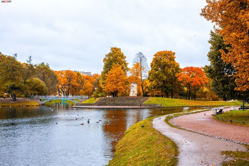 санкт-петербург, осень, парк, сад, деревья, золотая, листва, вода, мост photo preview