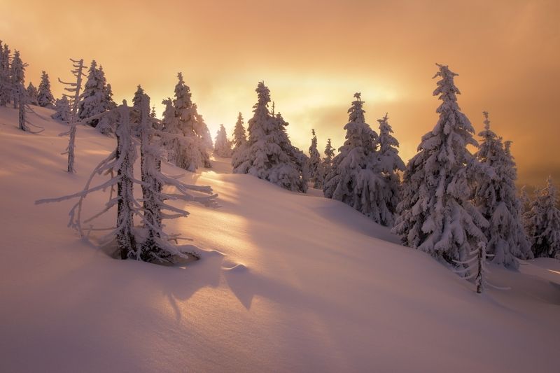 Moody sunset..photo preview