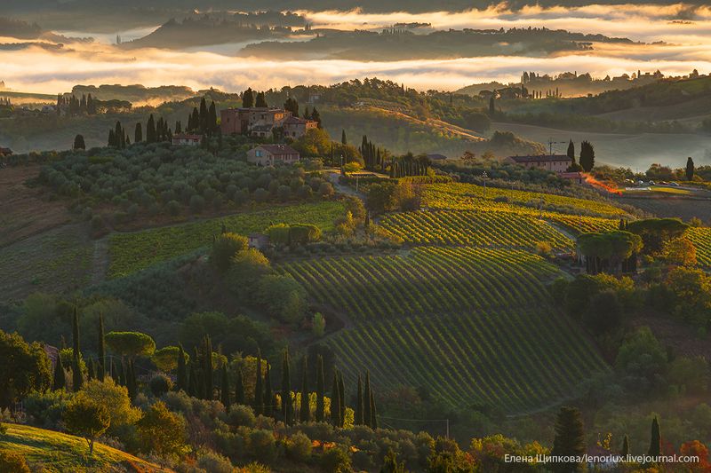 Утро в Сан-Джиминьяноphoto preview