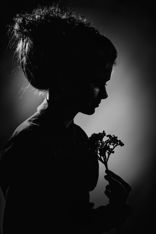 портрет, романтический, старинный, стилизация, ретро, причёска, чёрно-белая, студийная, арт, fine art, свето-тень, головка, люди, девушка, профиль, beauty, davydov Силуэтphoto preview