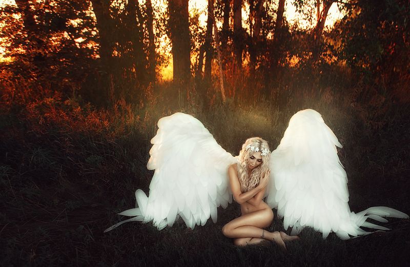 -guide to the sky-photo preview