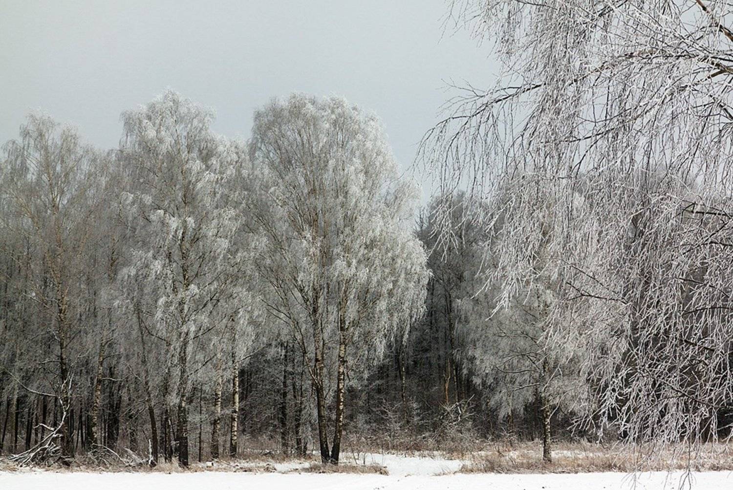 , Геннадий Новов
