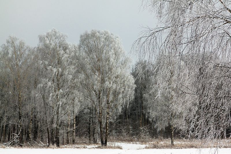 ИНЕЙphoto preview